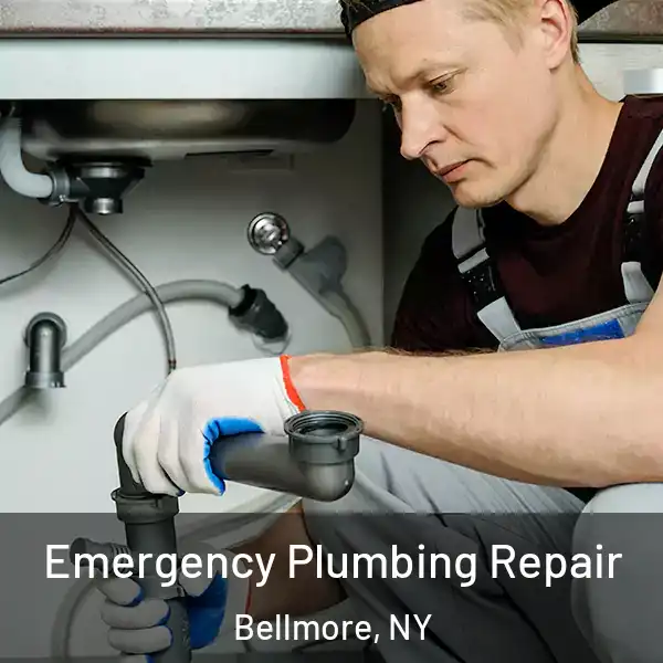  Emergency Plumbing Repair Bellmore, NY