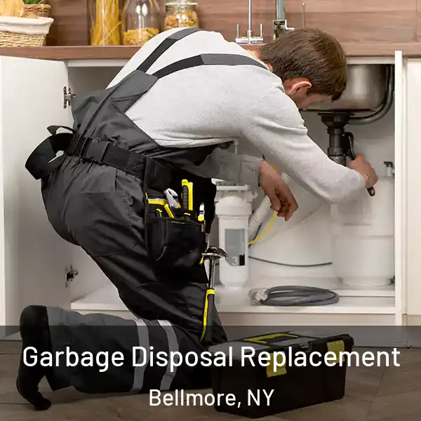  Garbage Disposal Replacement Bellmore, NY