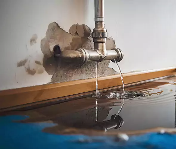 Professional Water Damage Restoration Experts in Bellmore, NY — Fast, Reliable & Certified