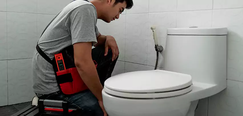 Toilet Repair in Bellmore