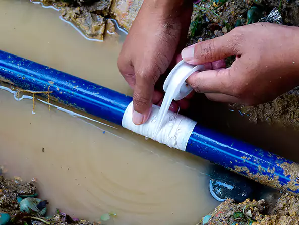  Why Choose Bellmore Plumbing Pro for Leak Detection in Bellmore, NY?]