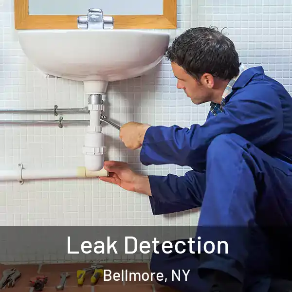  Leak Detection Bellmore, NY