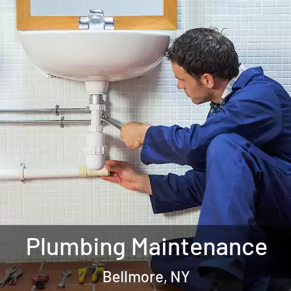  Plumbing Maintenance Bellmore, NY