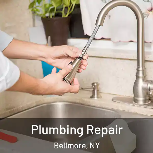  Plumbing Repair Bellmore, NY