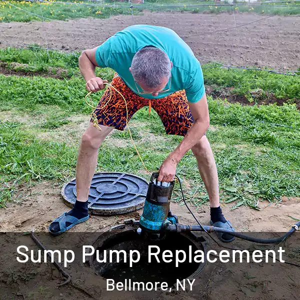  Sump Pump Replacement Bellmore, NY