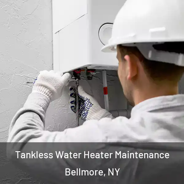  Tankless Water Heater Maintenance Bellmore, NY
