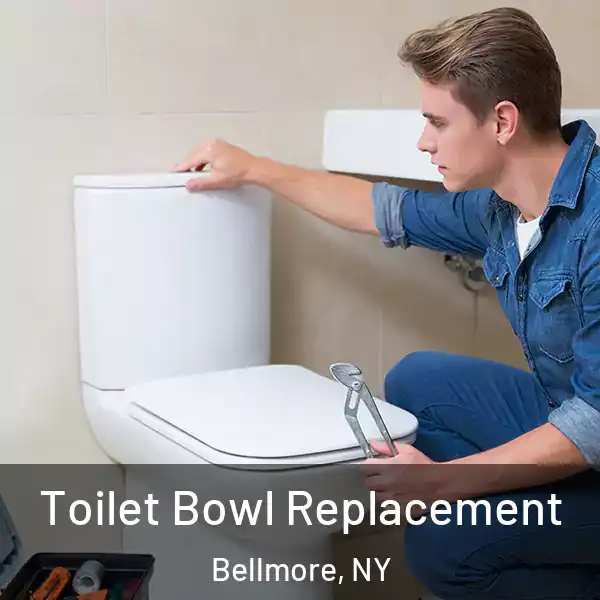  Toilet Bowl Replacement Bellmore, NY