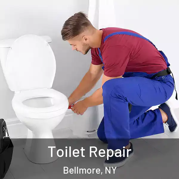  Toilet Repair Bellmore, NY