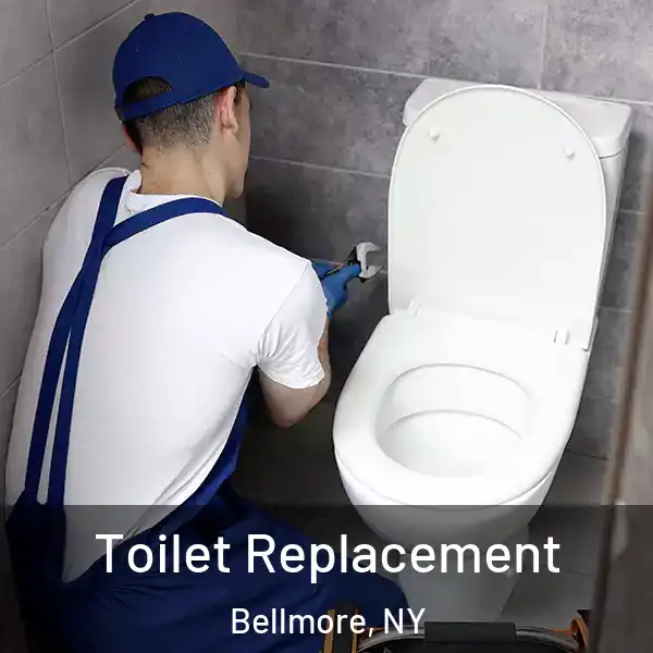  Toilet Replacement Bellmore, NY