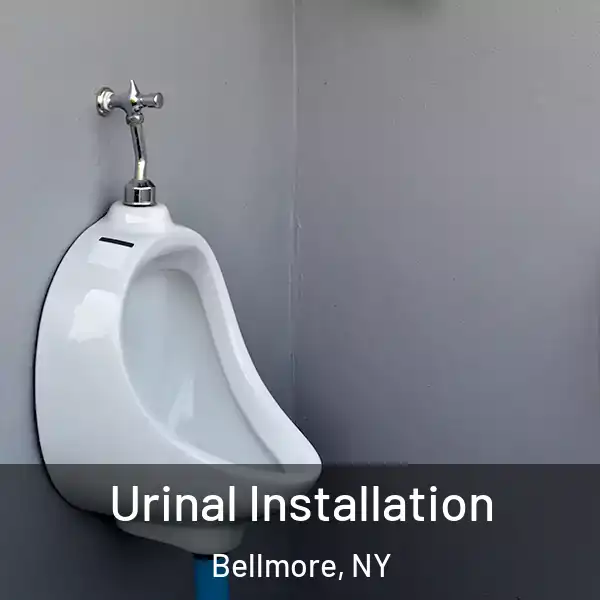  Urinal Installation Bellmore, NY