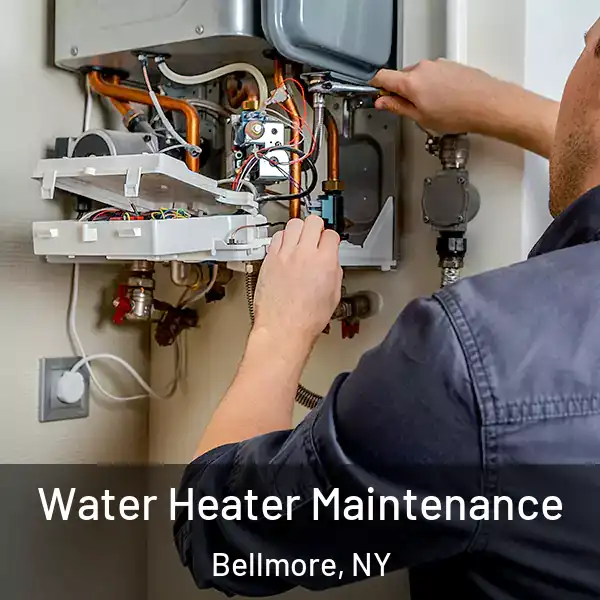  Water Heater Maintenance Bellmore, NY