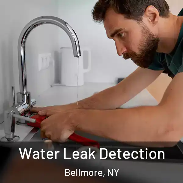  Water Leak Detection Bellmore, NY